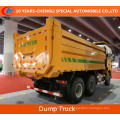 Shacman 6X4 Dump Truck 290HP Tipper Truck